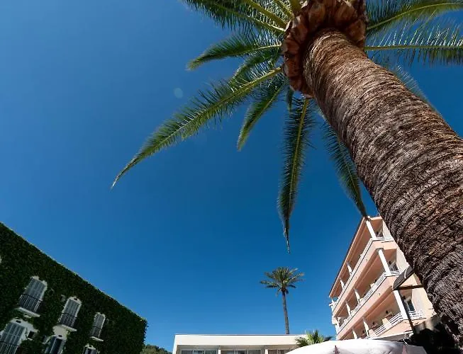 Venecia פגוארה